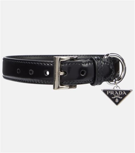 prada dog collar|best designer dog collar.